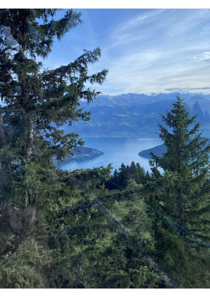 Aussicht über den Vierwaldstättersee